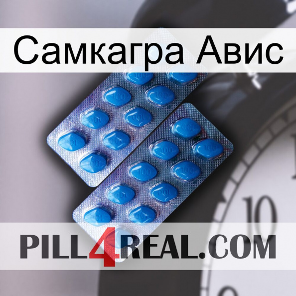 Самкагра Авис viagra2.jpg